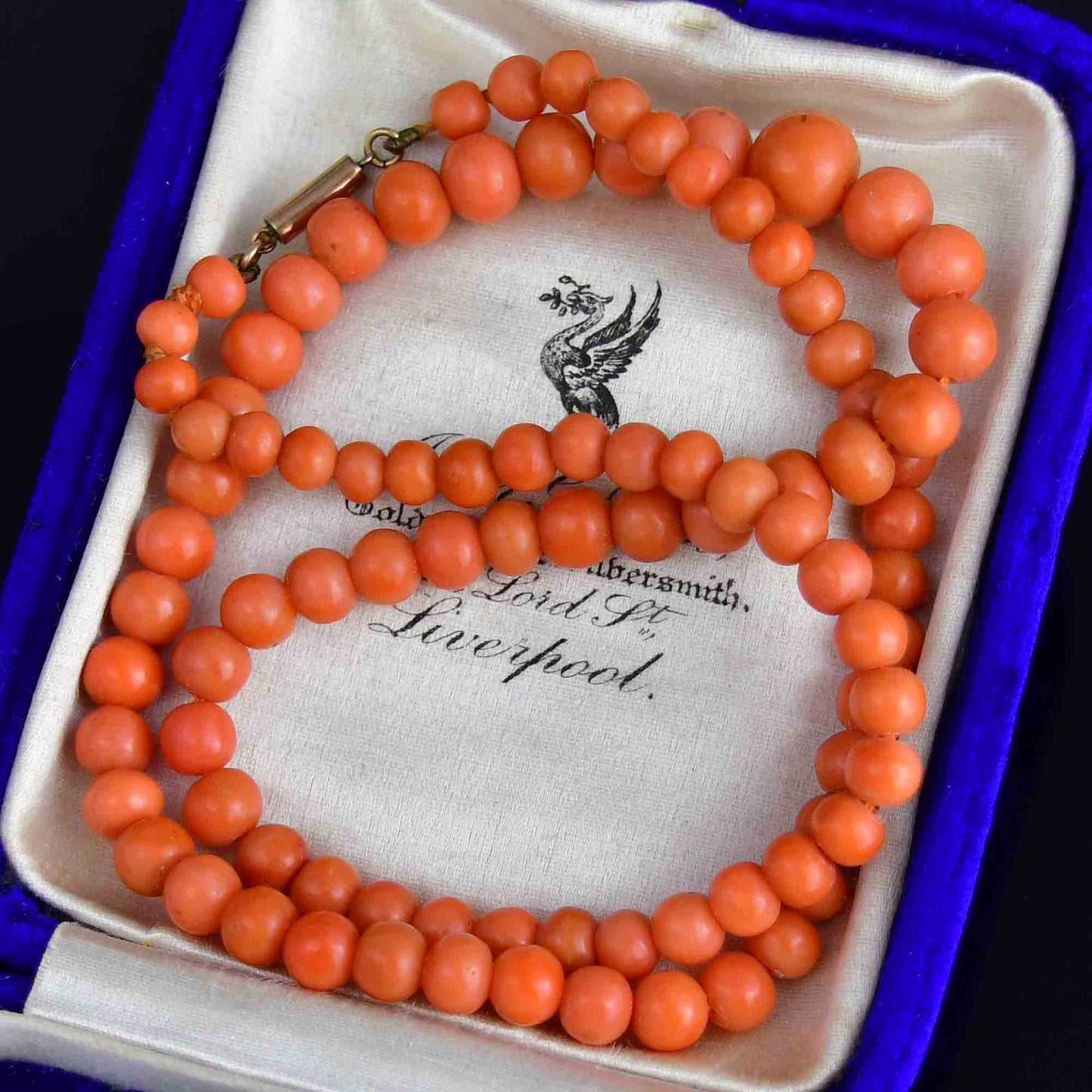 Antique Edwardian Gold Mediterranean Coral Necklace