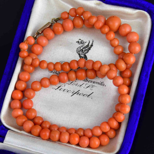 Antique Edwardian Gold Mediterranean Coral Necklace